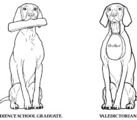 Sample Illustration Sample Illustration